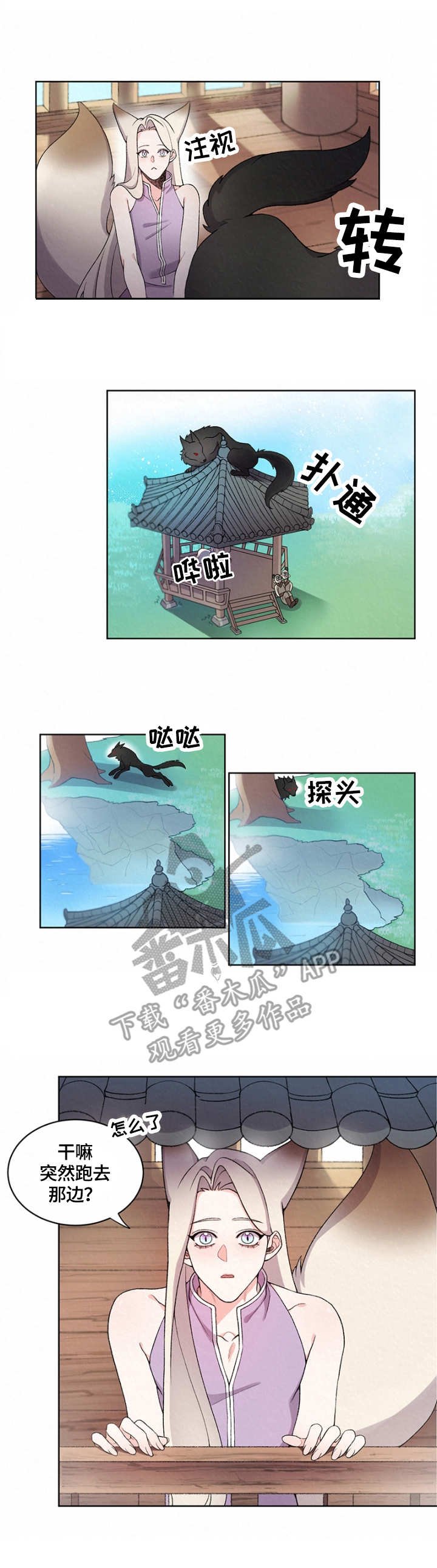 第6章：狼