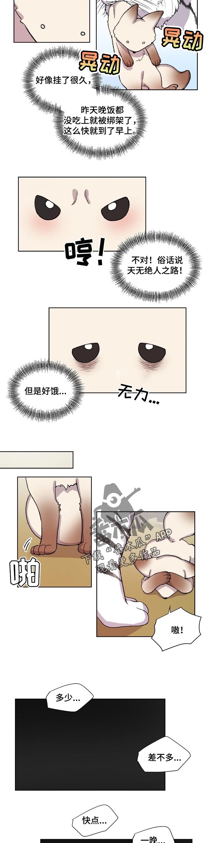 第66章：绑架