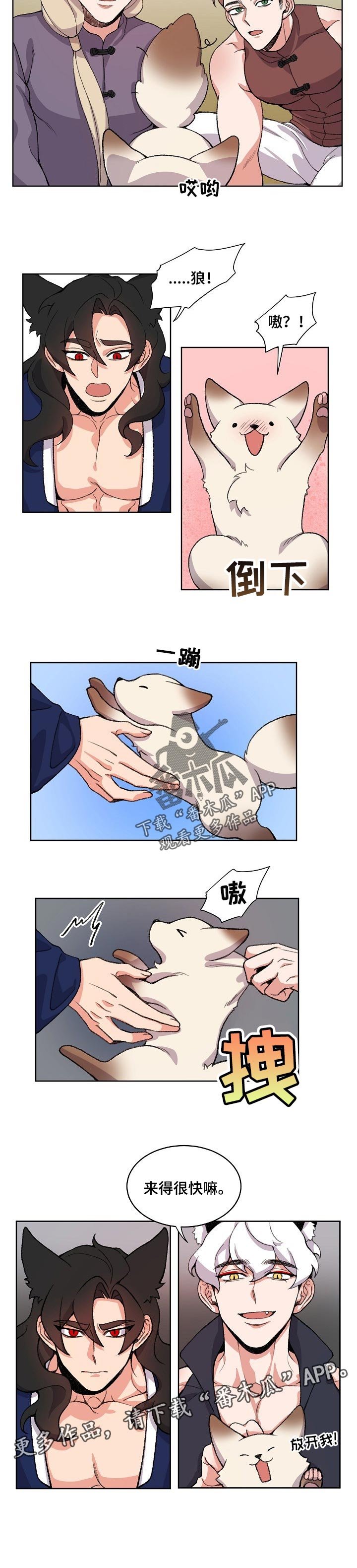 第68章：阴谋