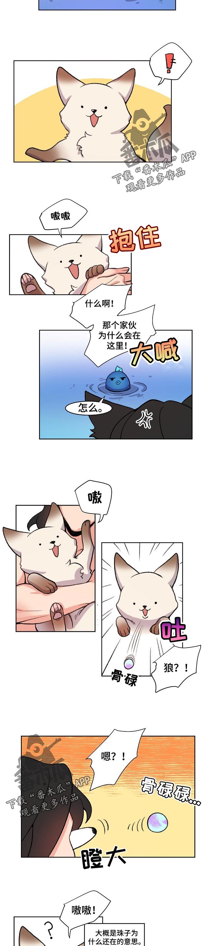 第71章：一起回家吧【完结】