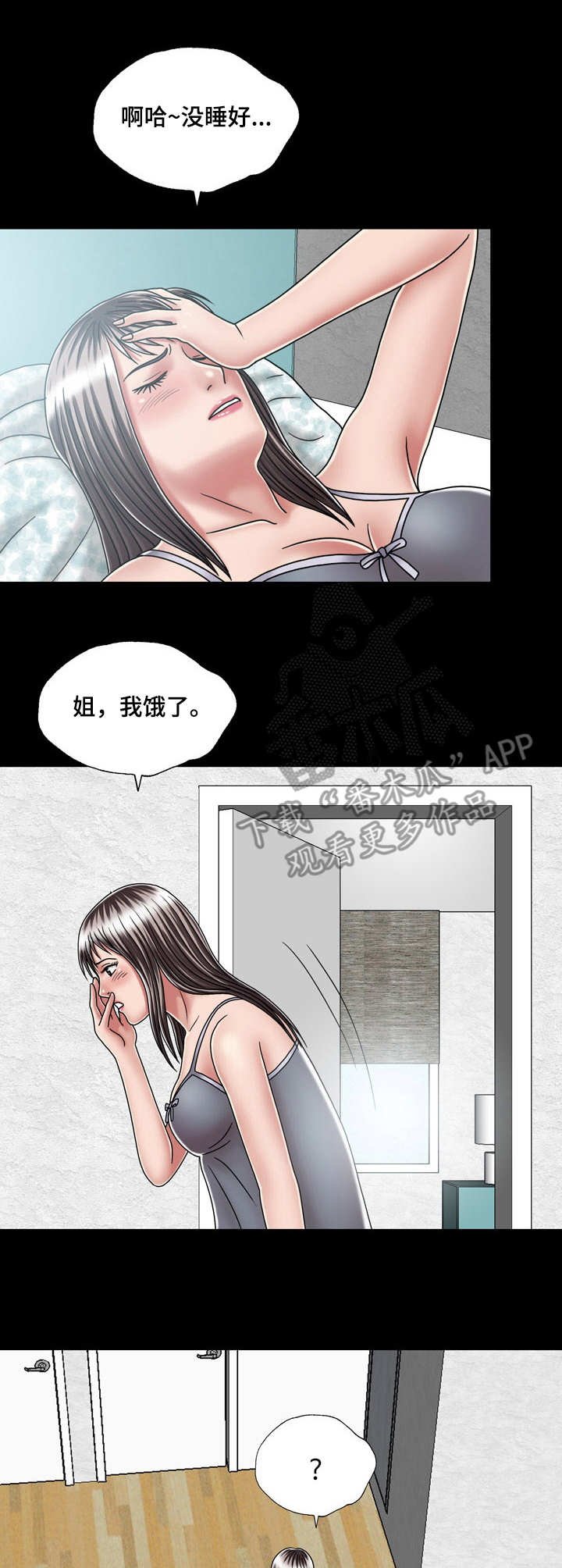 第29章：解释