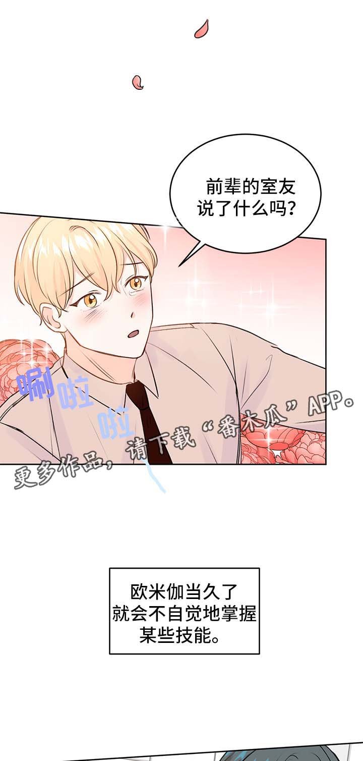 第24章：方案