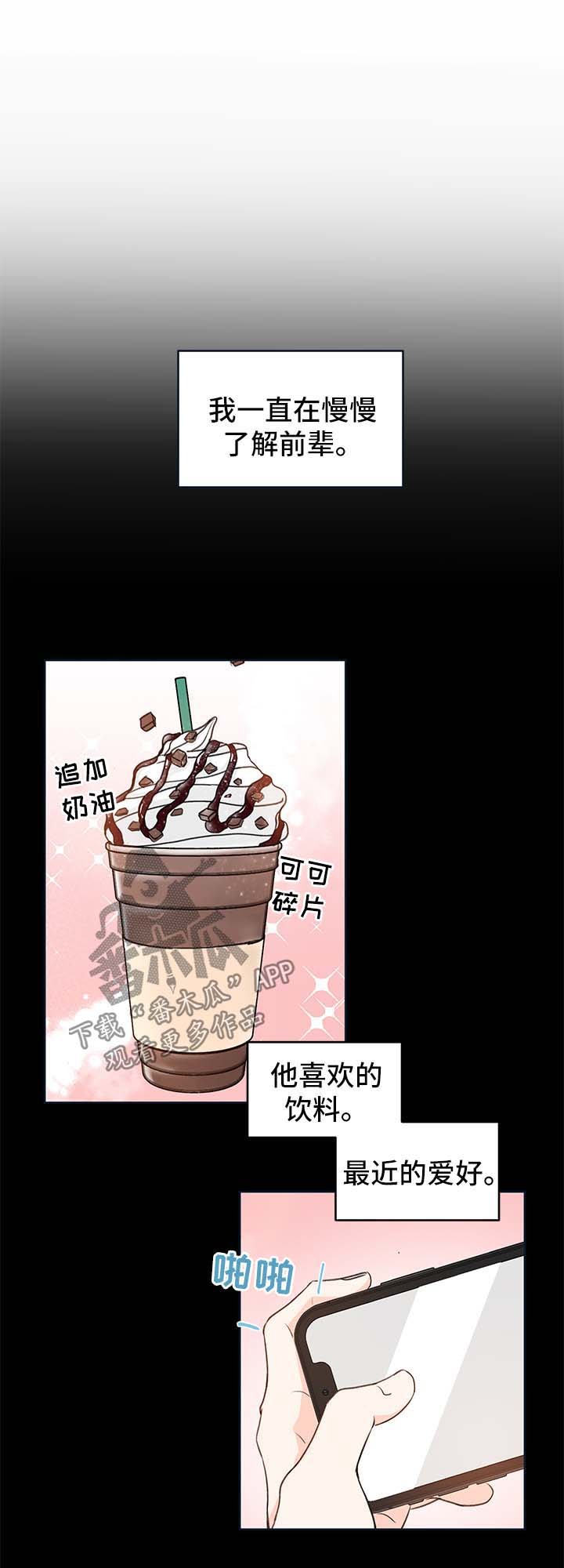 第24章：方案