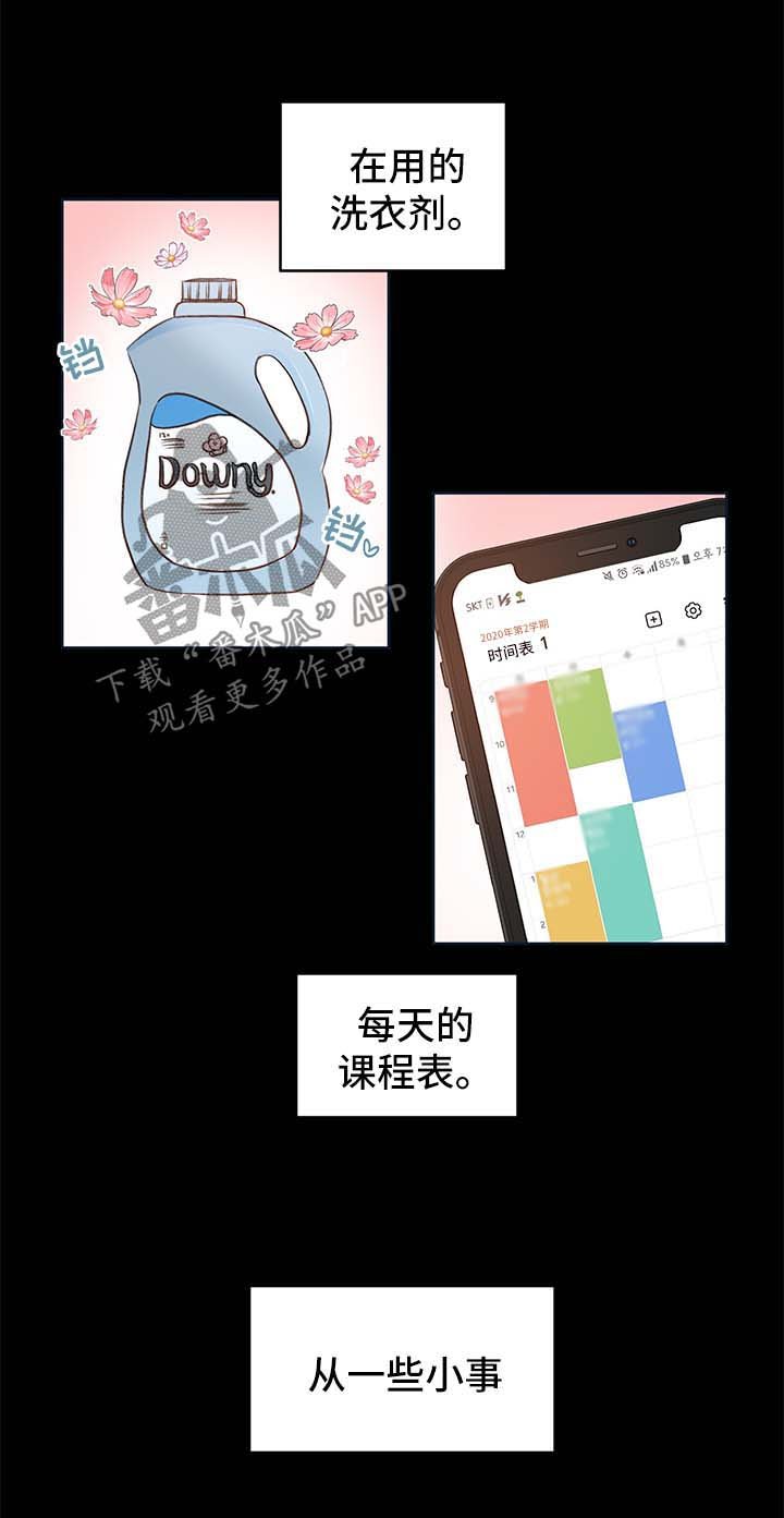 第24章：方案