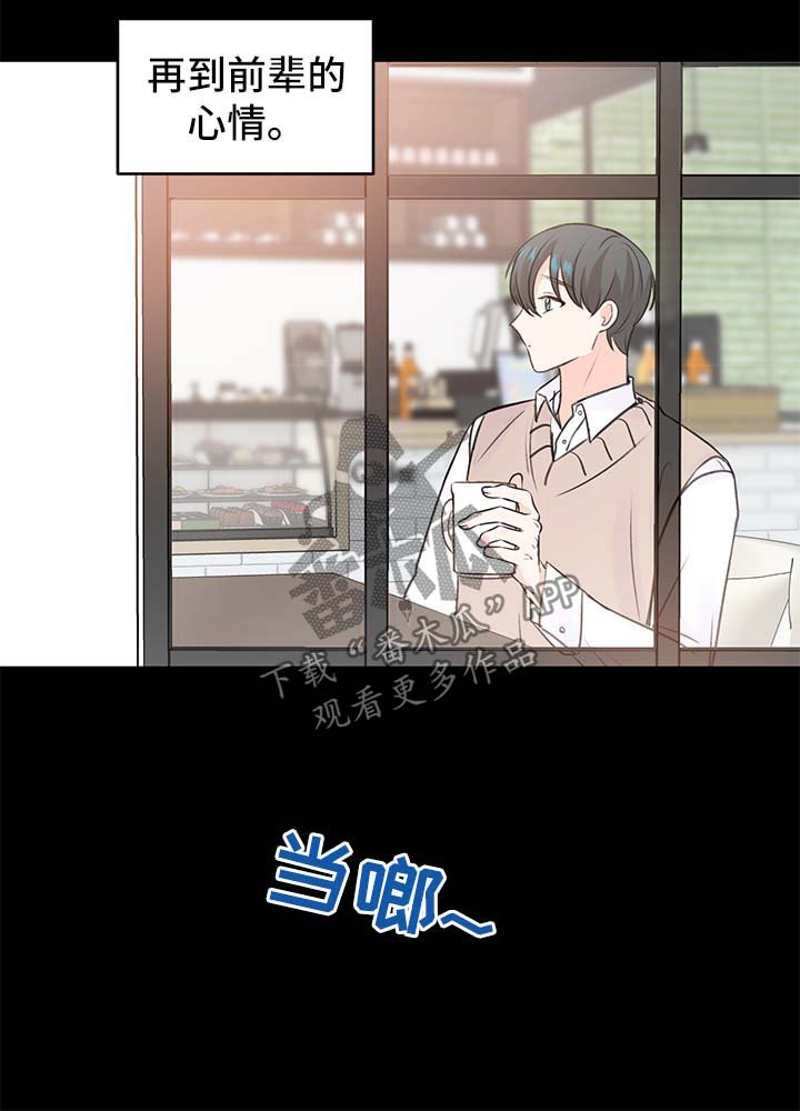 第24章：方案