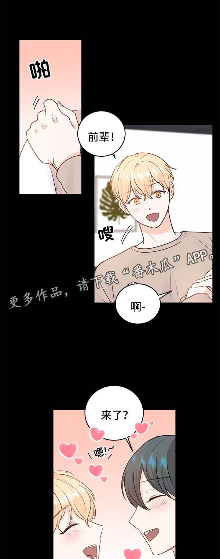 第24章：方案