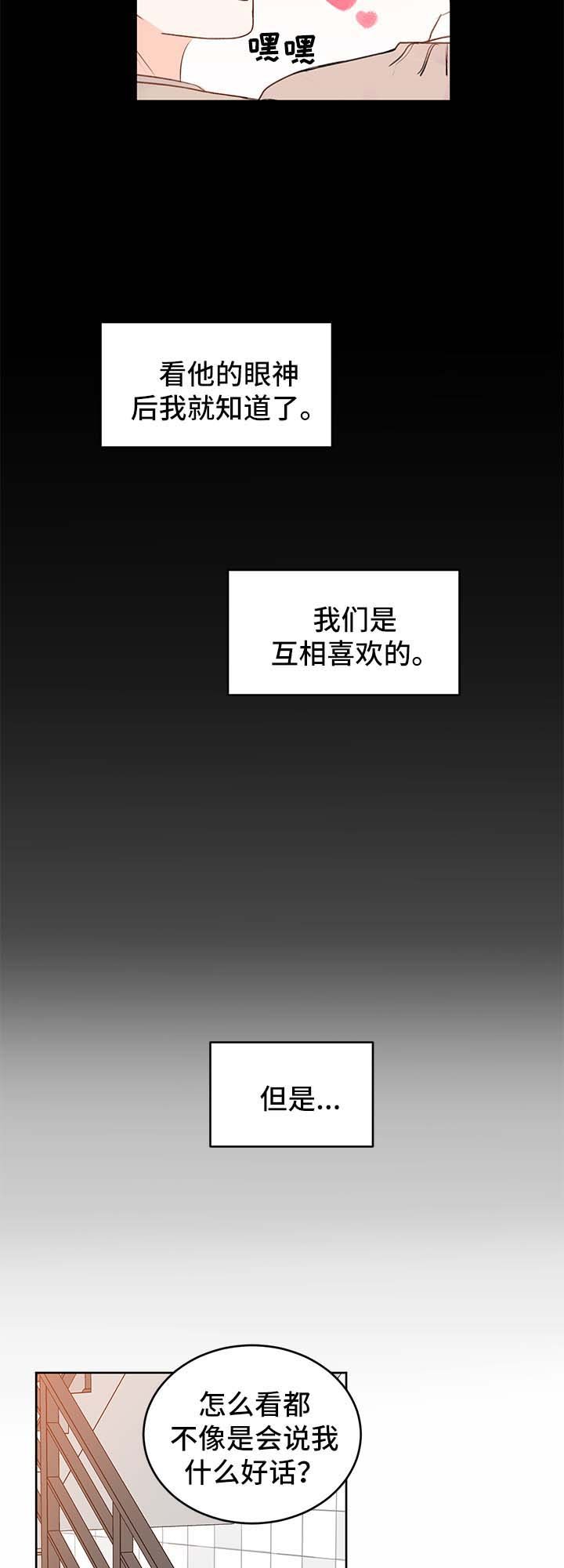 第24章：方案