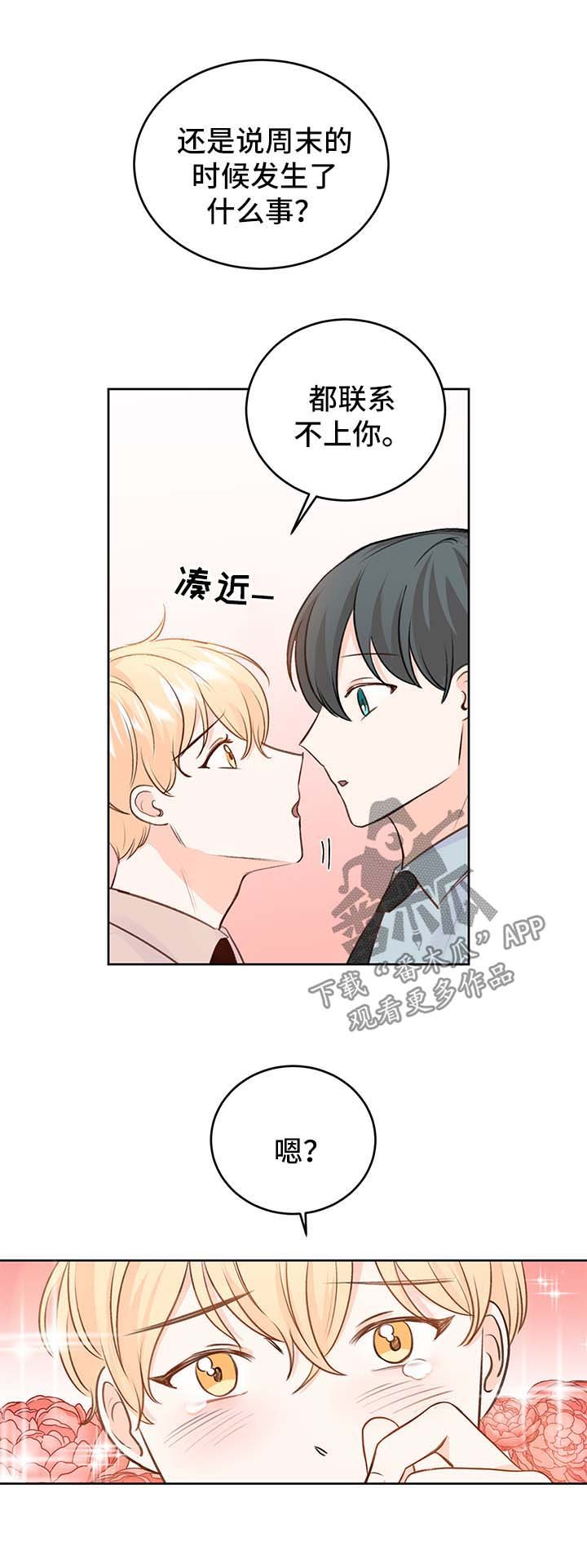 第24章：方案