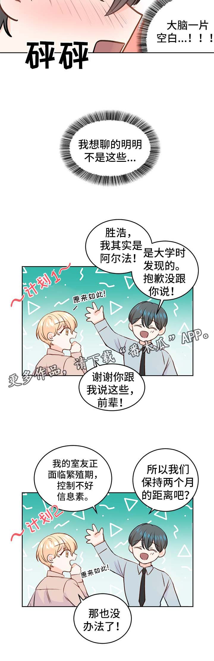 第24章：方案