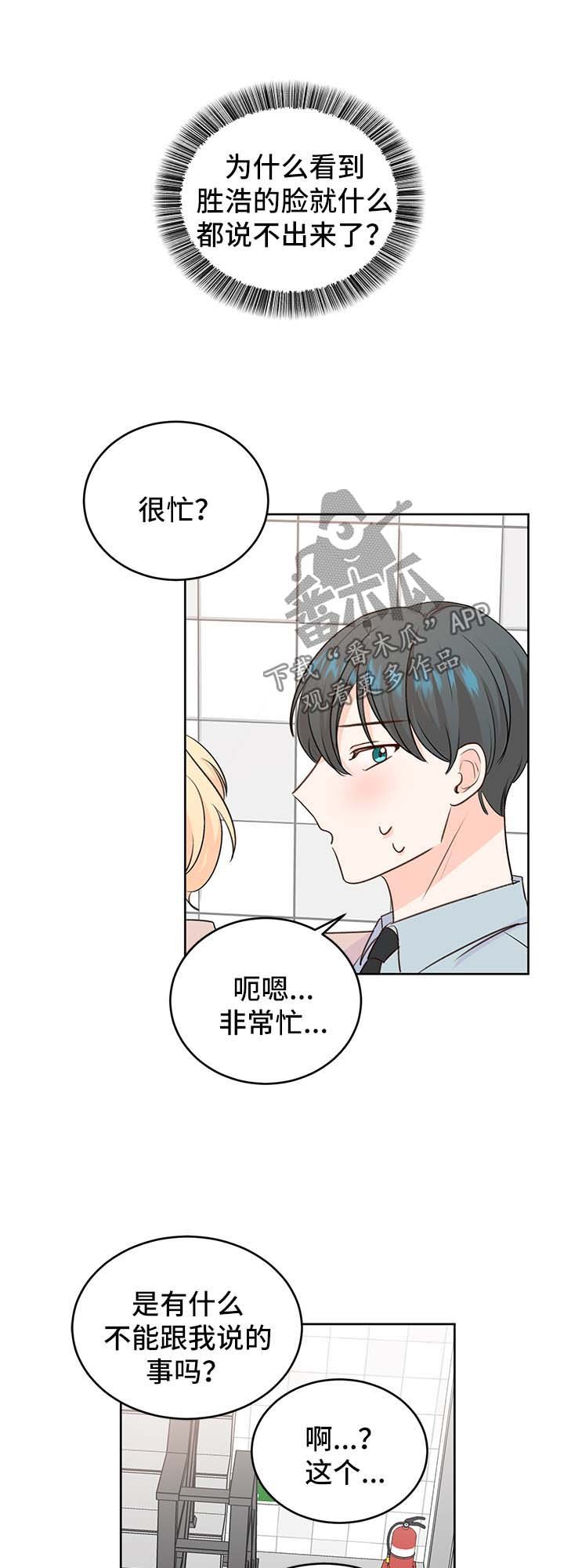 第24章：方案