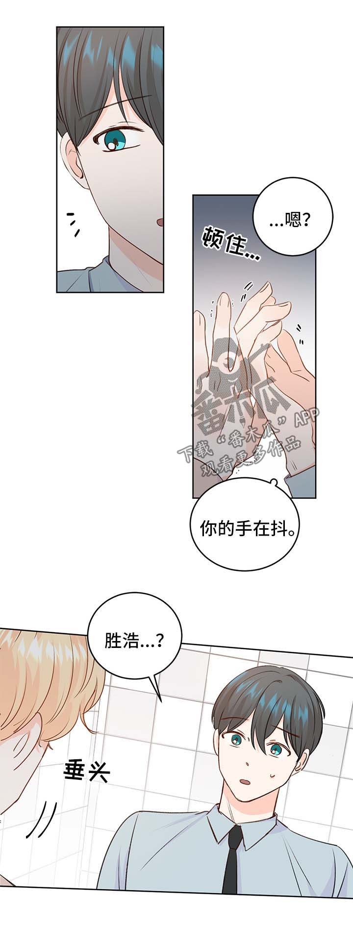 第24章：方案
