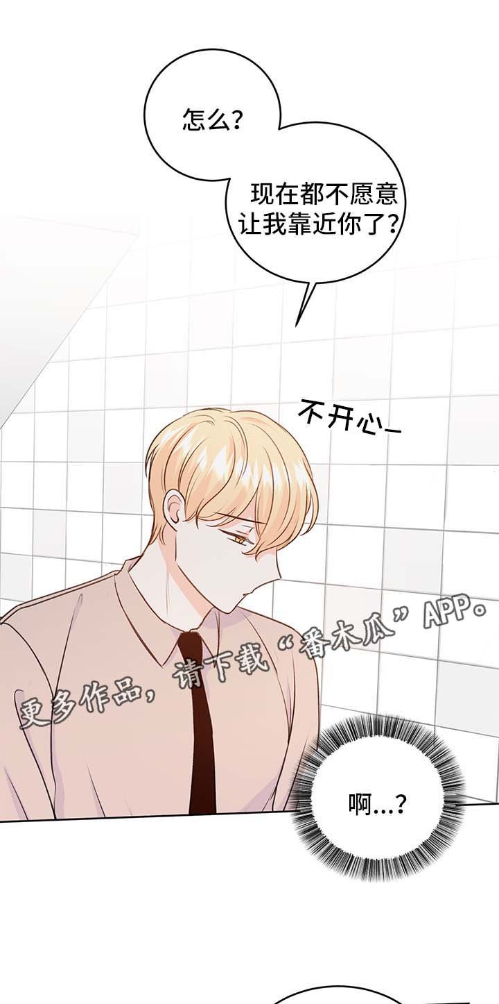 第24章：方案