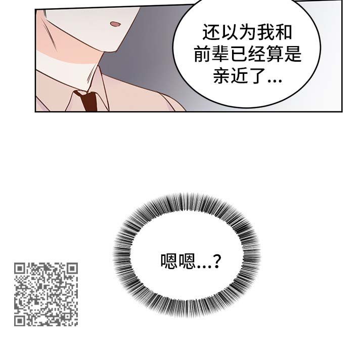 第24章：方案