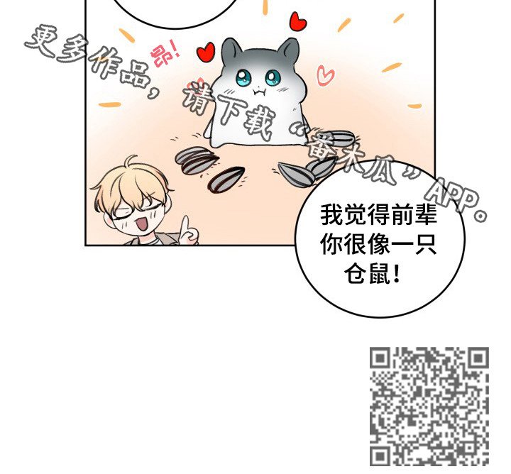 第38章：像仓鼠