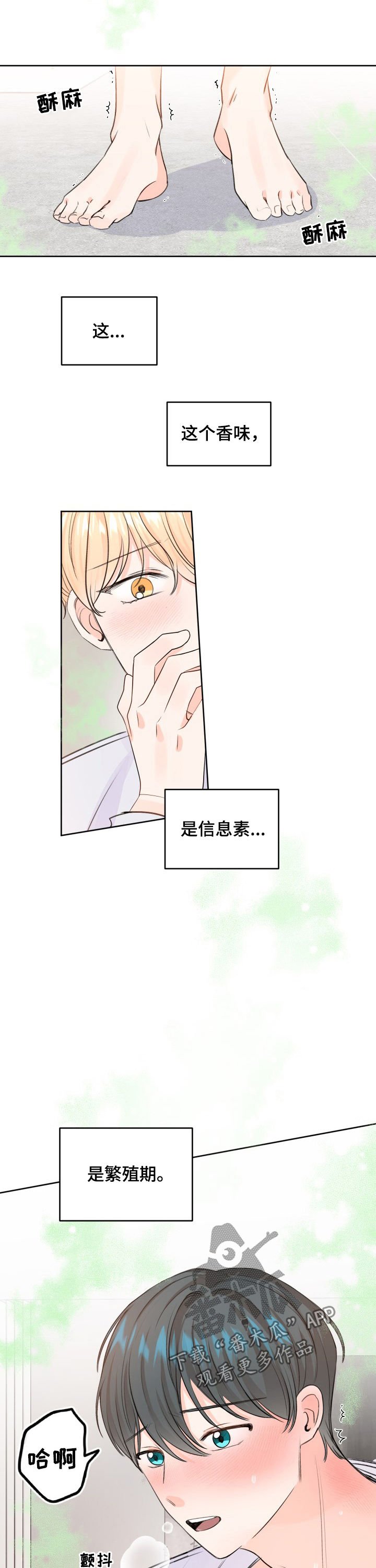 第42章：都说了不是