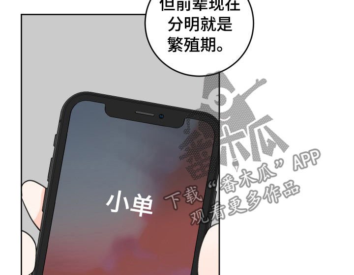 第43章：为什么