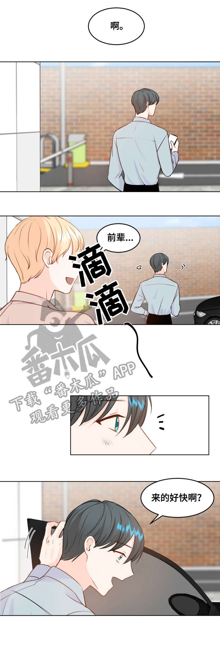 第6章：阿尔法