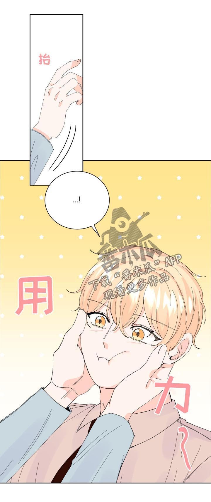 第61章：其他选项