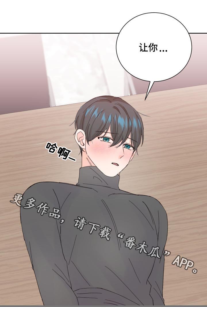 第61章：其他选项