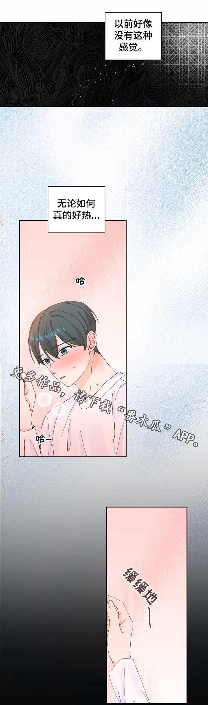 第65章：问卷调查