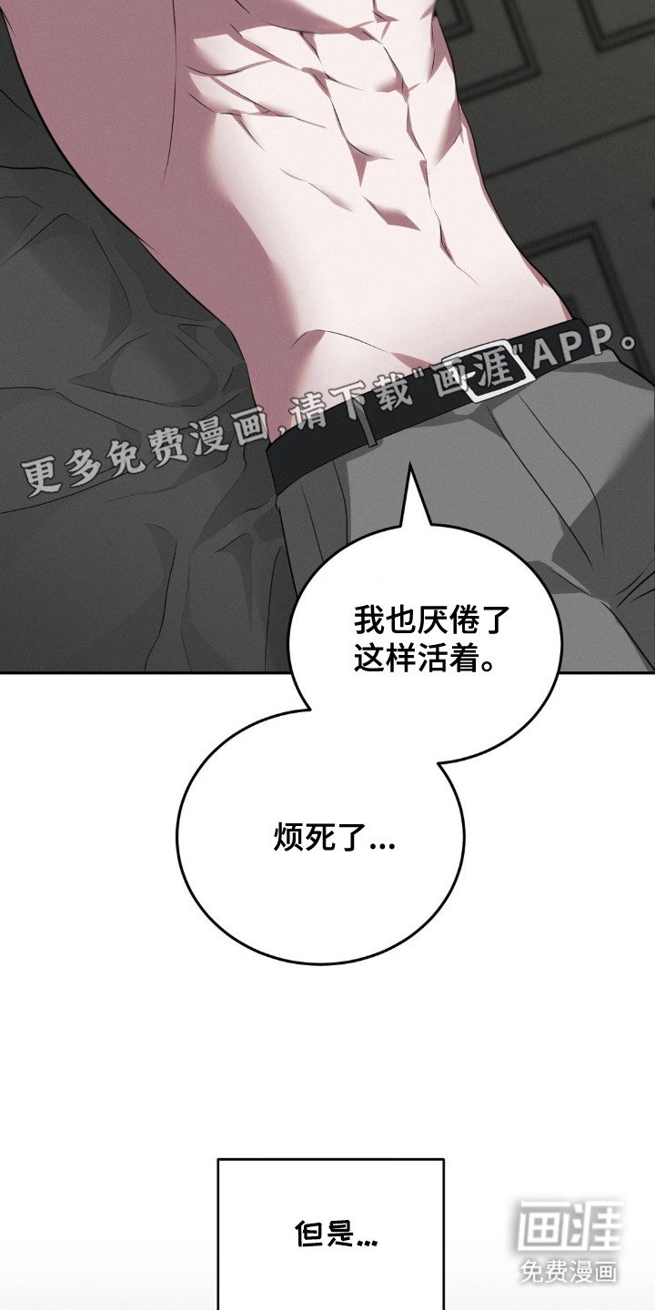 第15章：脆弱感