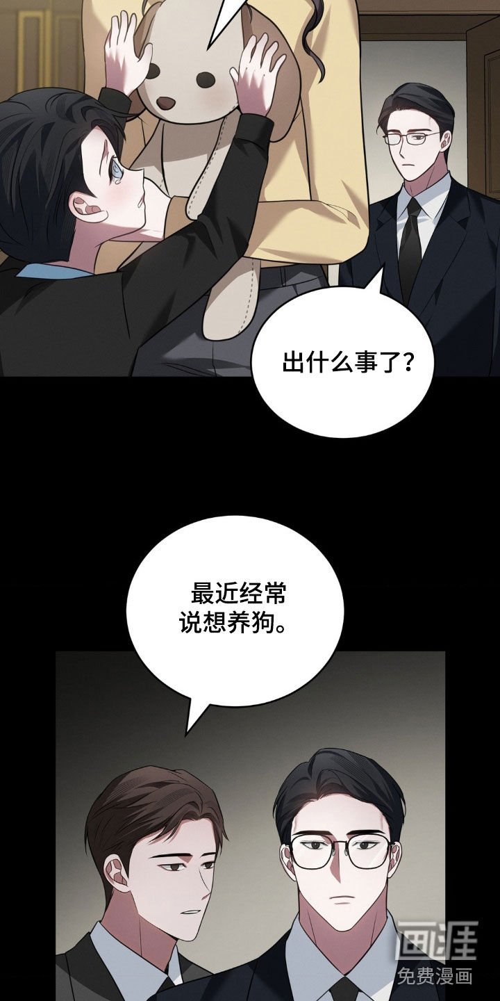 第17章：成长经历