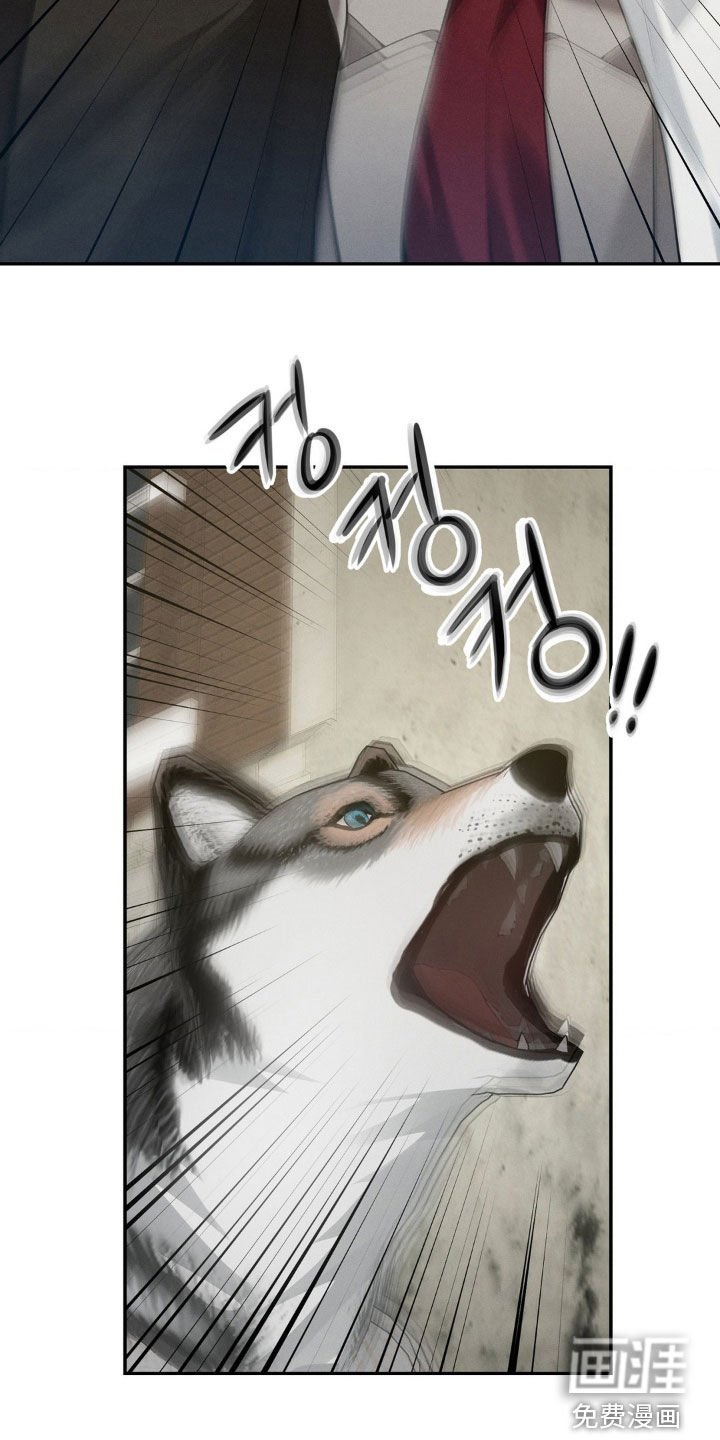 第21章：被狗咬