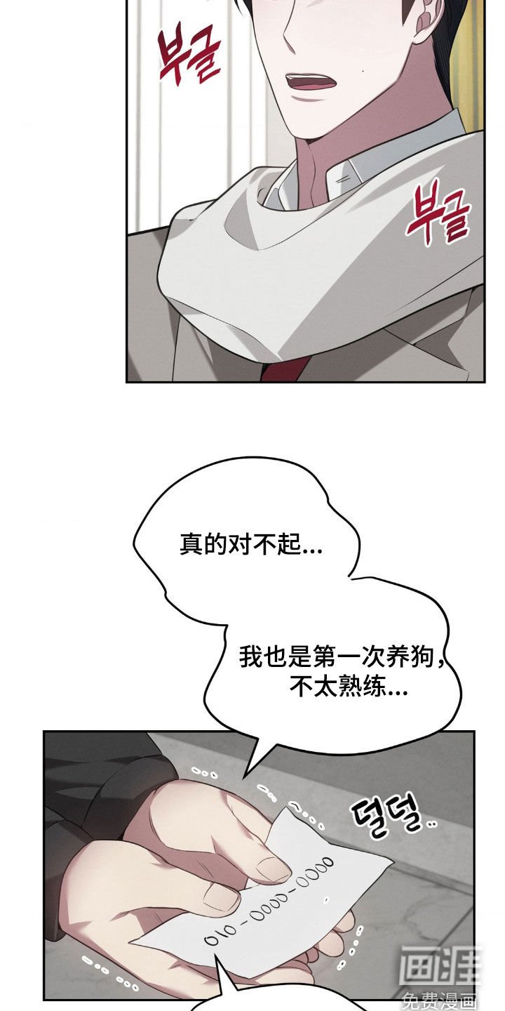 第21章：被狗咬