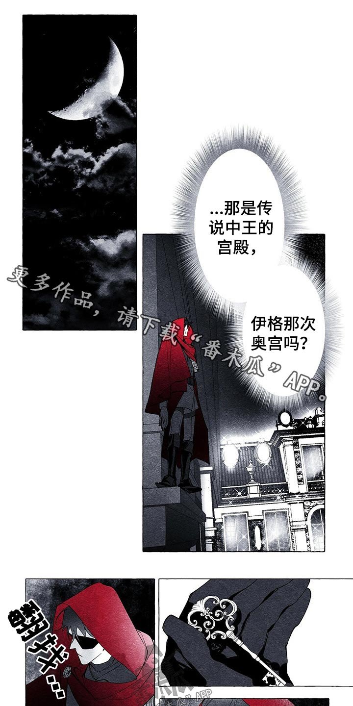 第16章：探查
