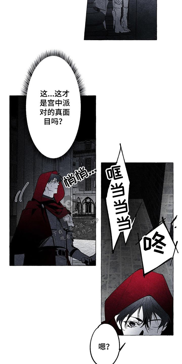 第16章：探查