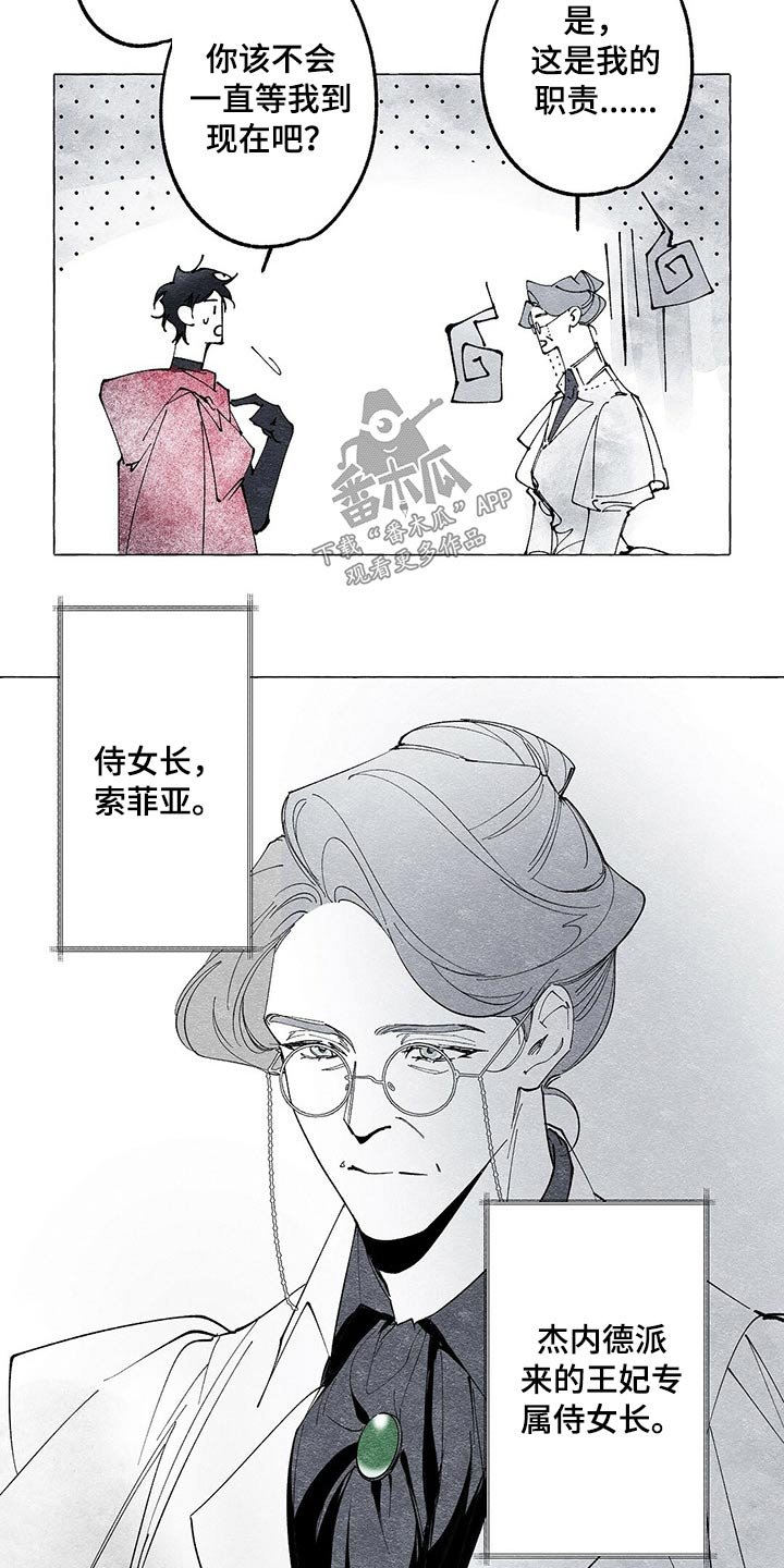 第16章：探查