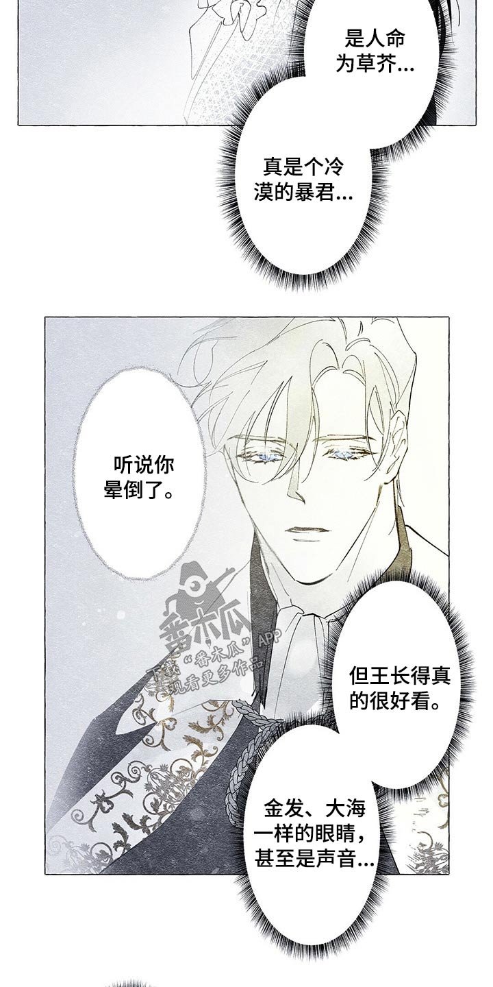 第19章：装扮