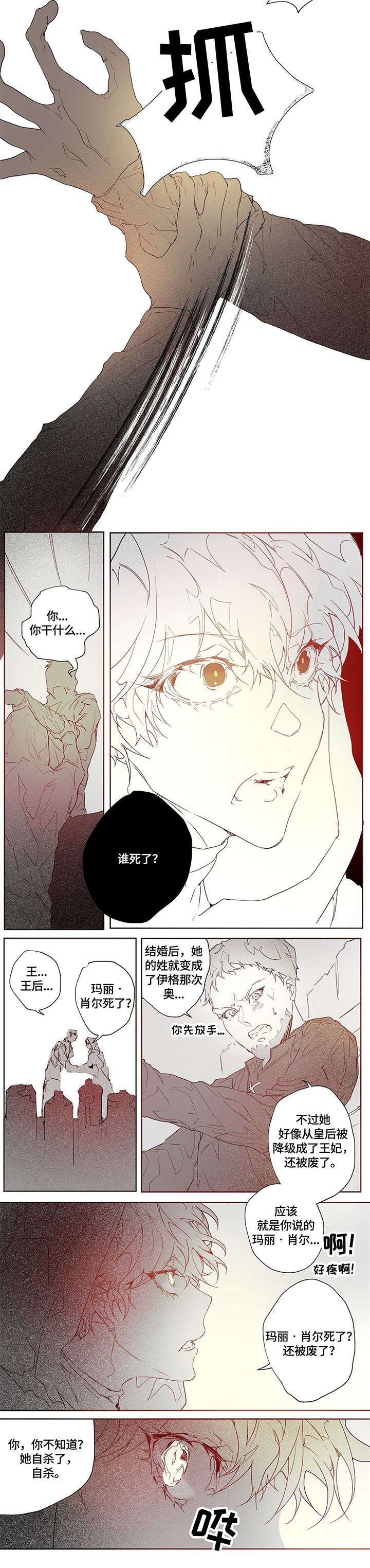 第2章：介绍书