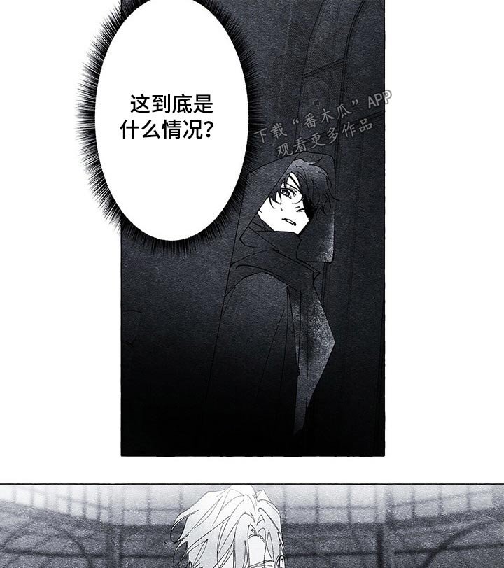 第21章：发现