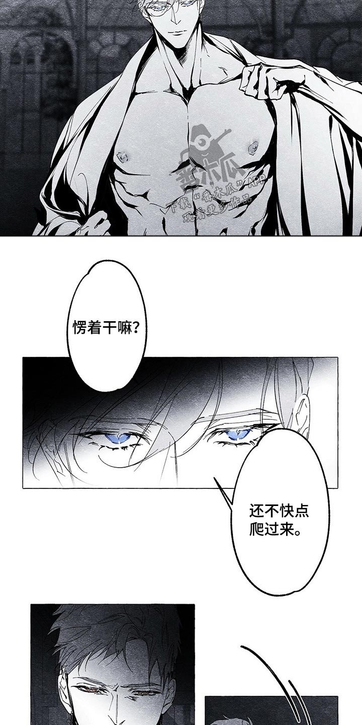 第21章：发现