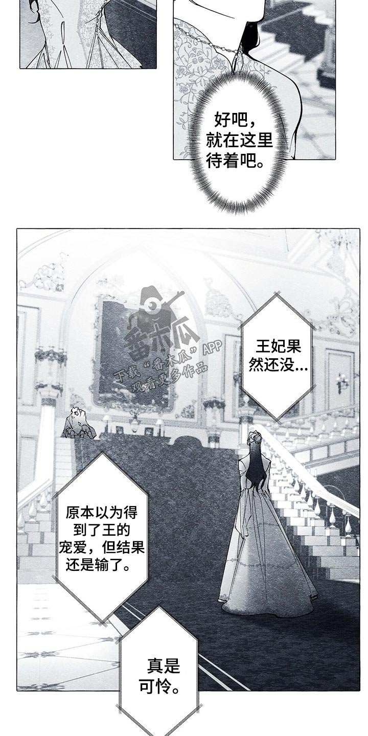 第29章：义务