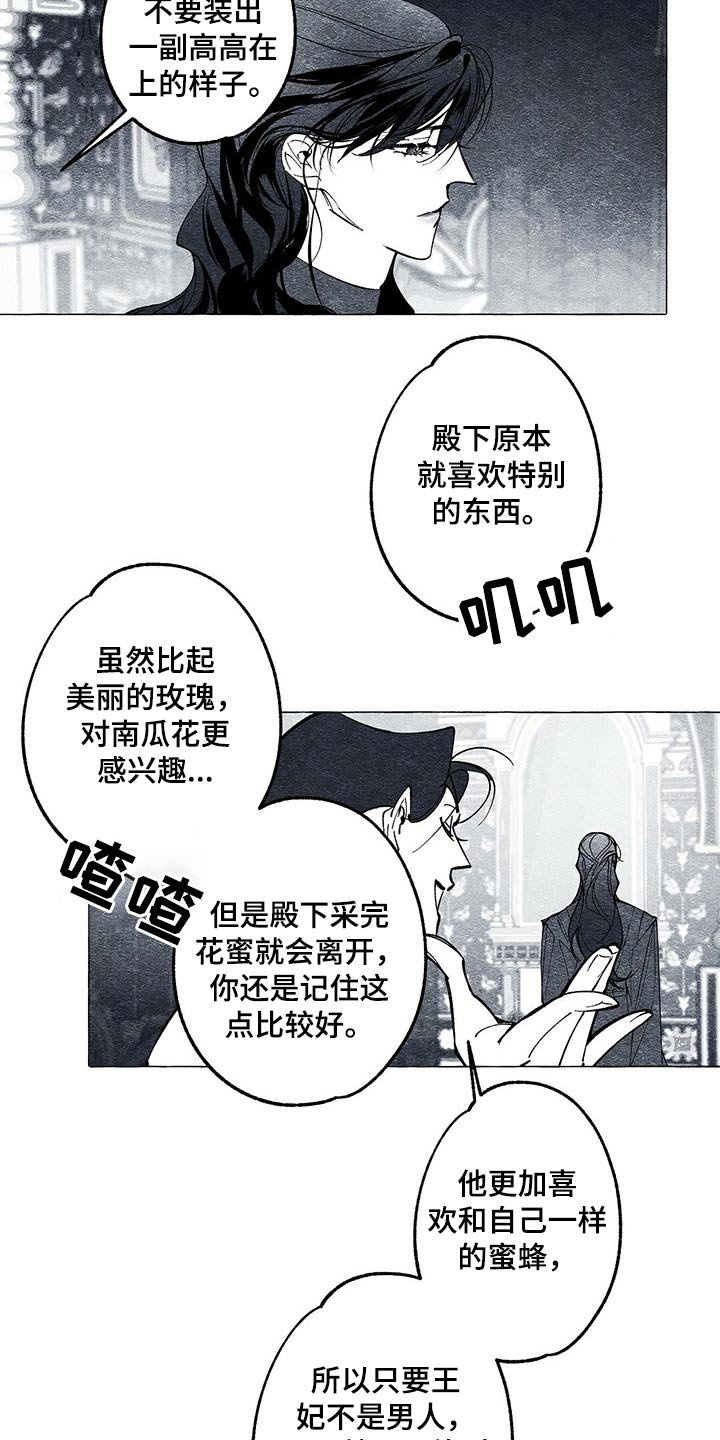 第33章：王妃