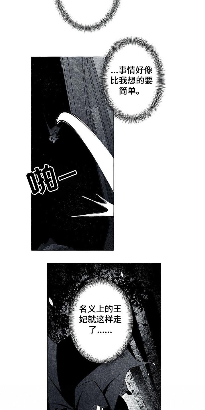 第33章：王妃