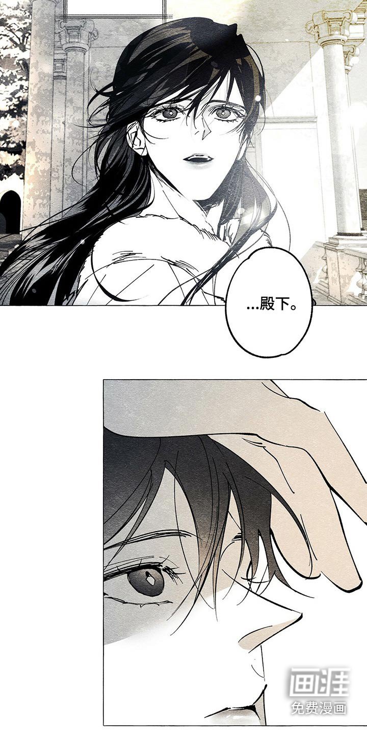 第38章：暗杀