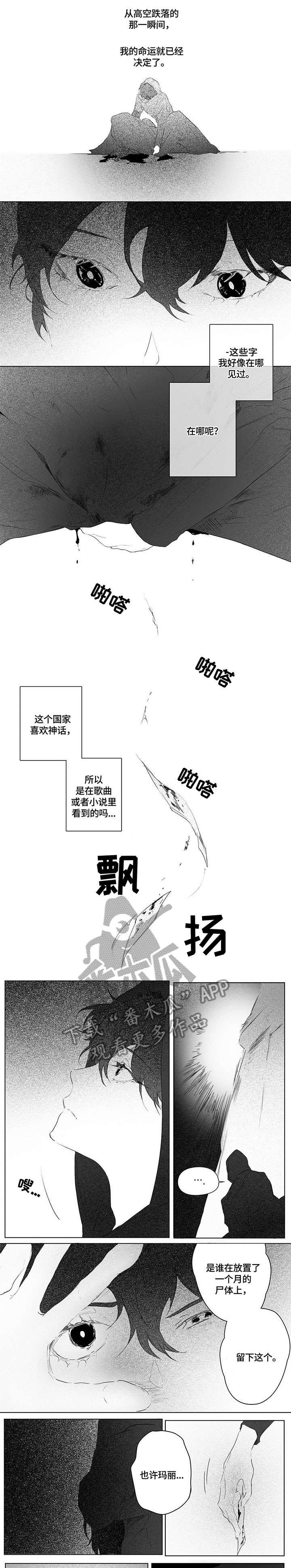 第4章：尸体