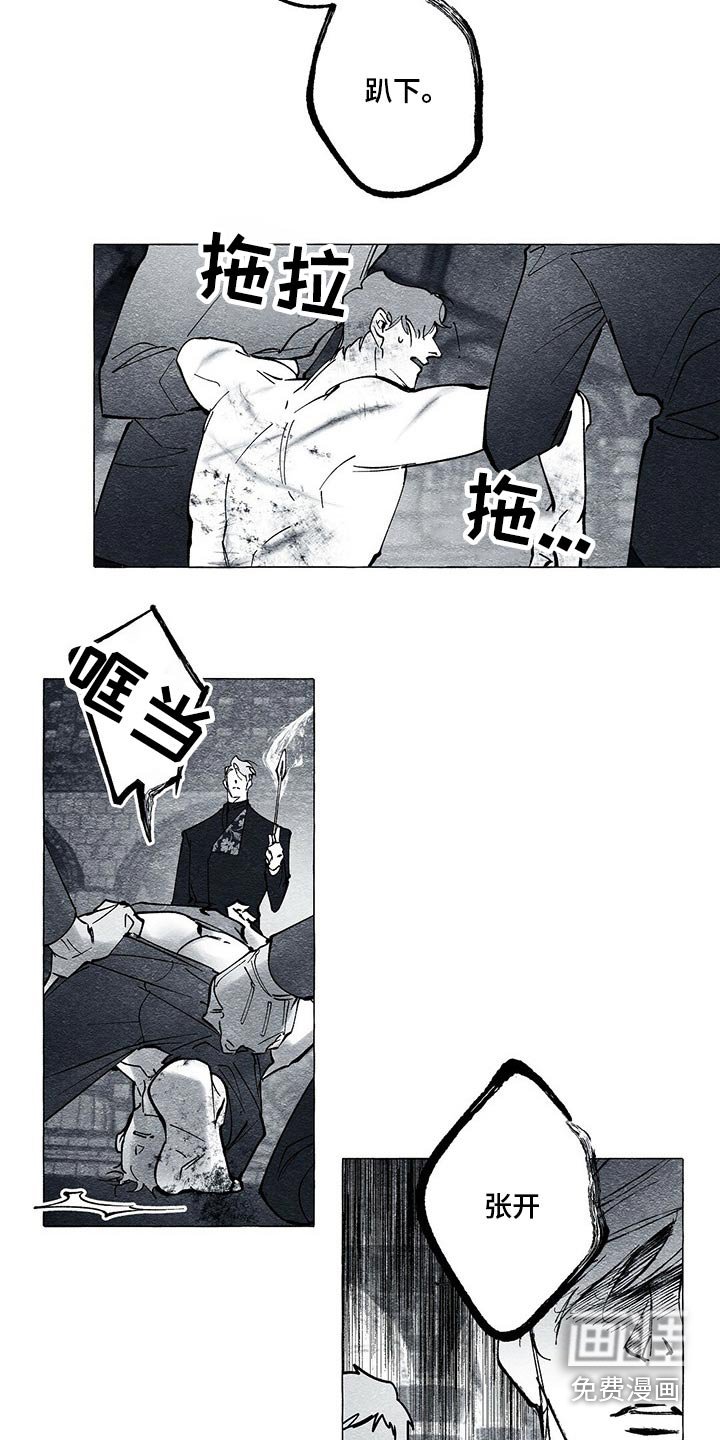 第42章：审讯