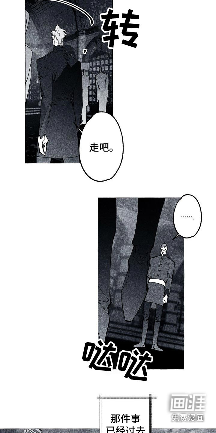 第43章：画集