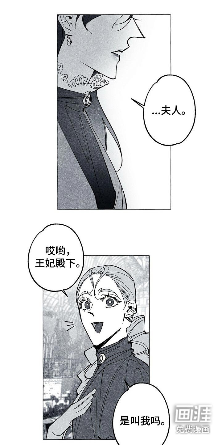 第43章：画集