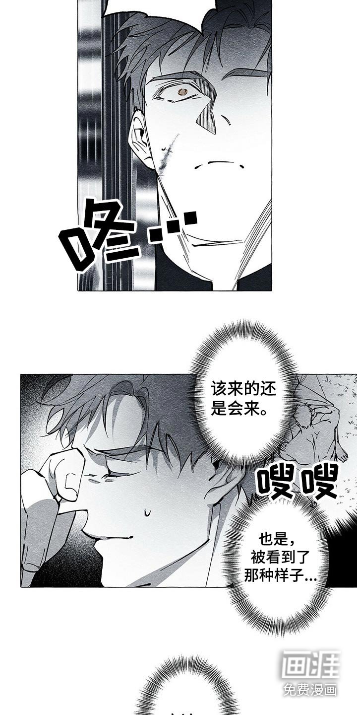 第45章：查清楚