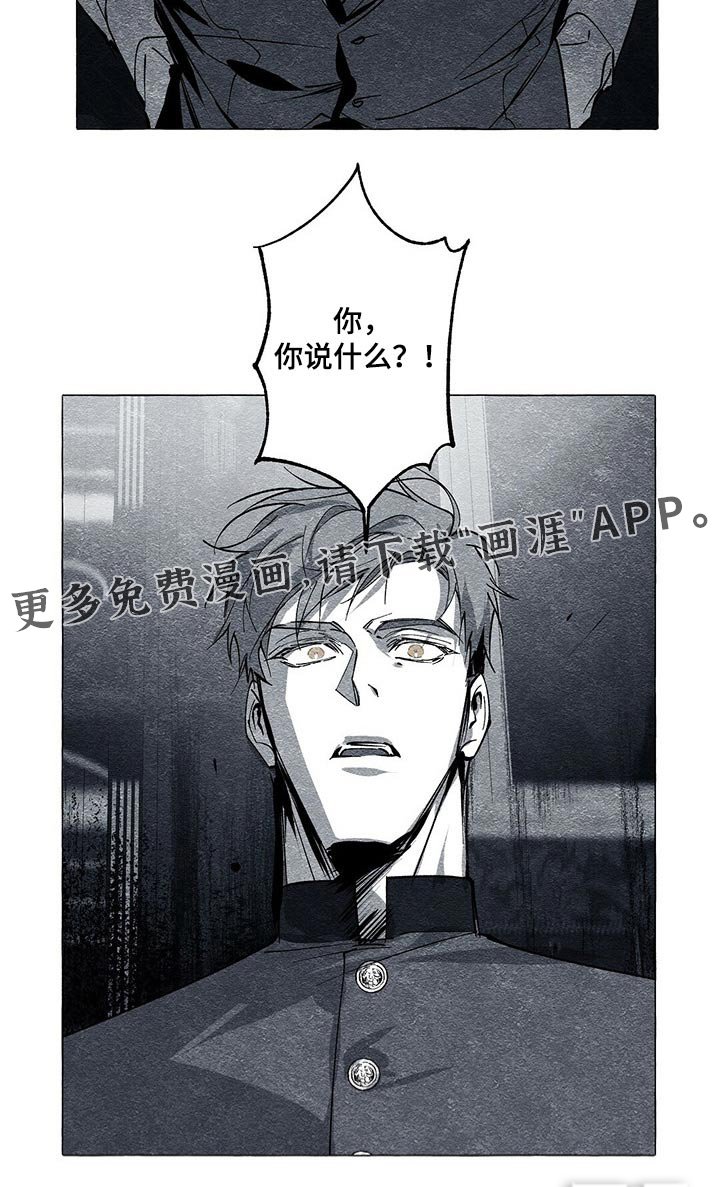 第46章：信封