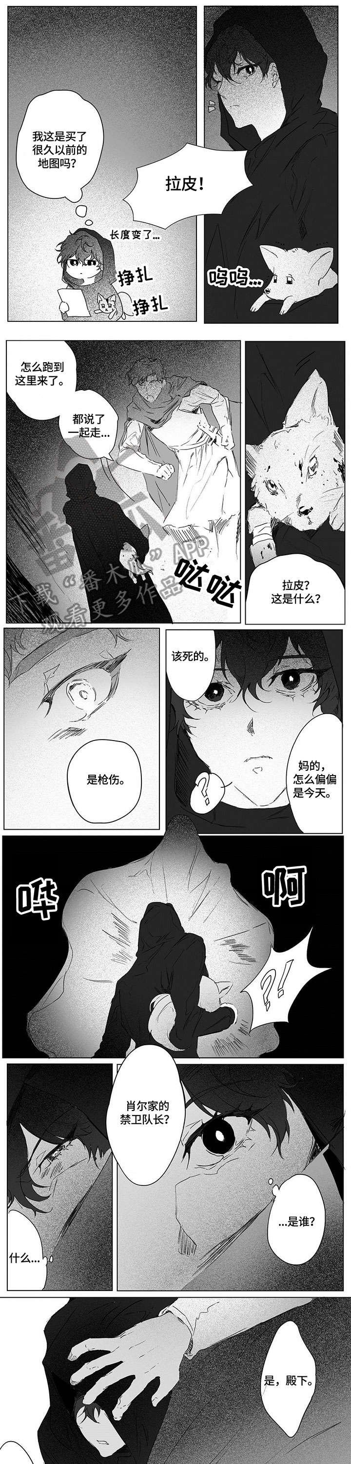 第5章：见面