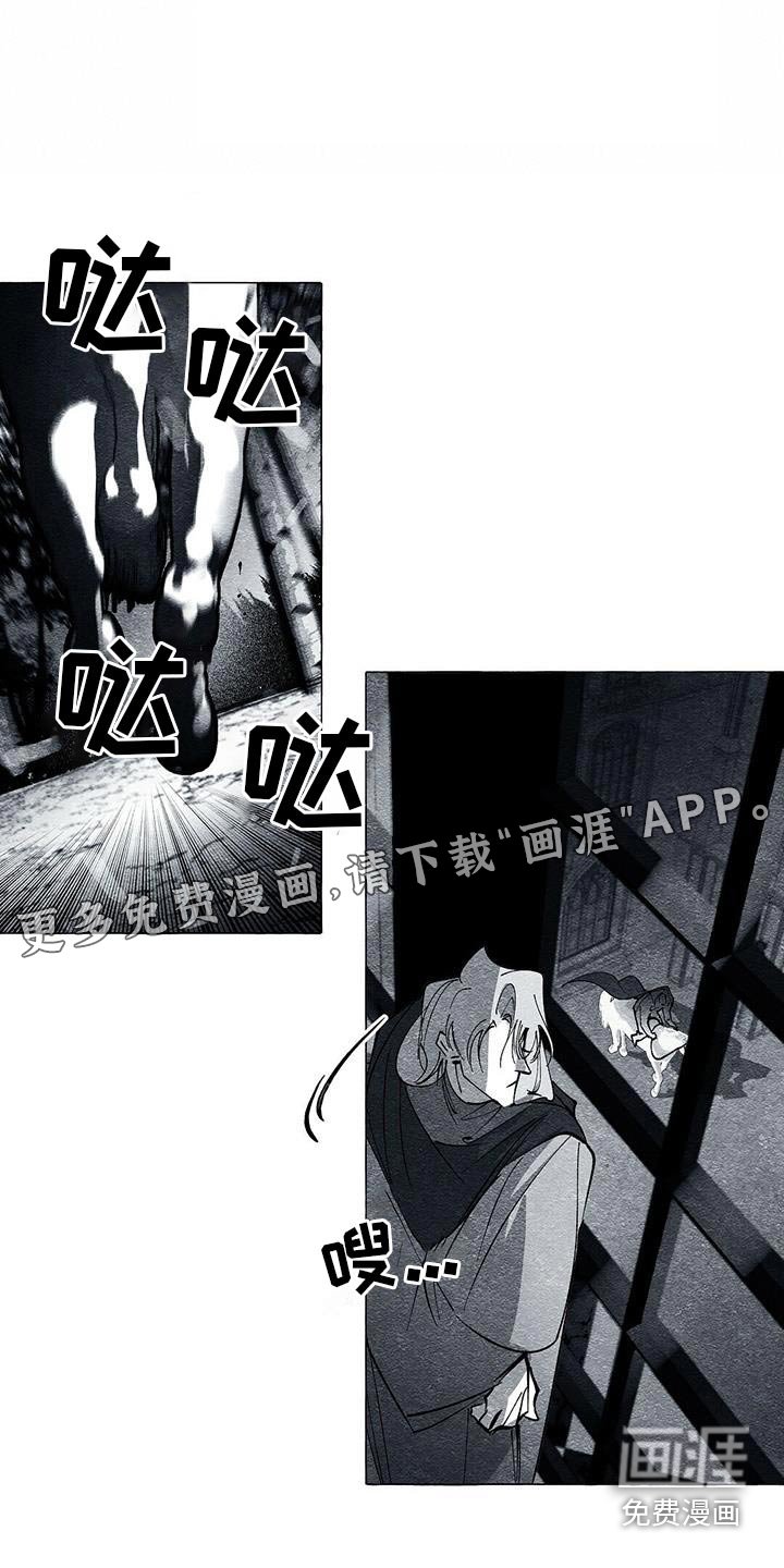 第50章：不需要了