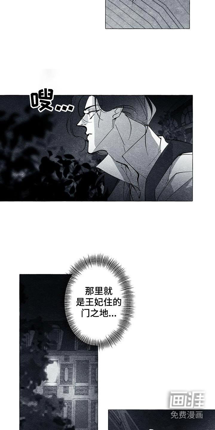 第51章：偷看