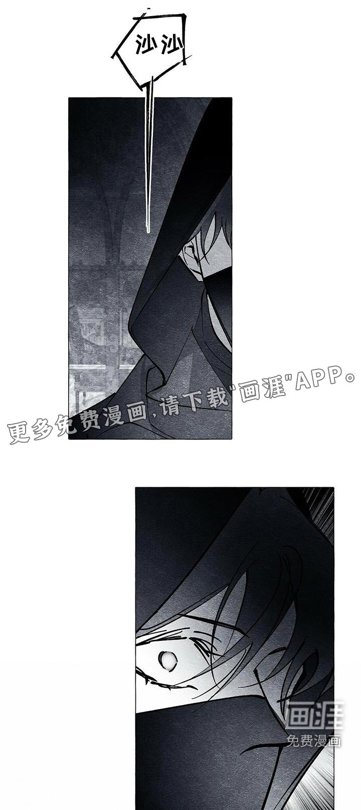第52章：为什么