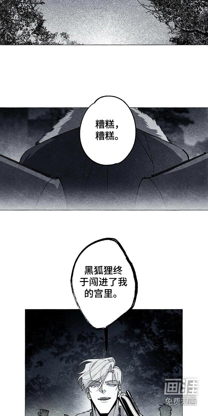 第52章：为什么
